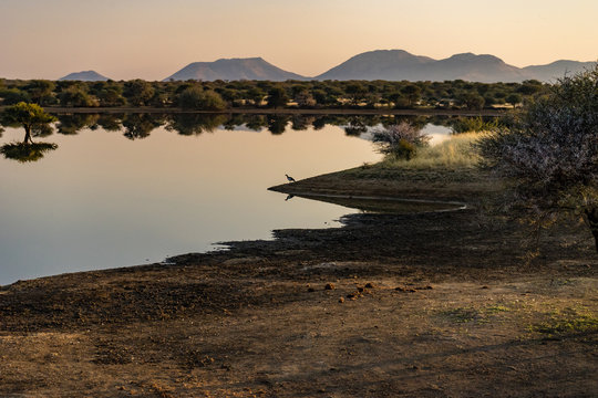 Namibia, Africa. Southeast of Omaruru. Winter sunrise over a waterhole with wild birds and reflections.