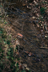 Obraz premium stream