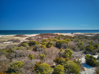 Small trees and plants dot New Jersey Island Beach State Park in order to protect the fragile ecosystem and sand dunes as seen from an aerial drone image