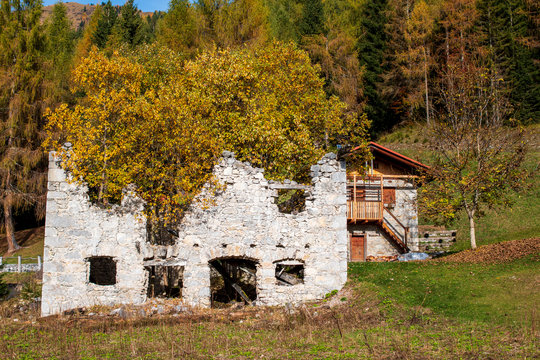 vecchio stavolo arroccato e vinto dalla vegetazione