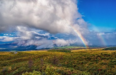 rainbow over the field Maui