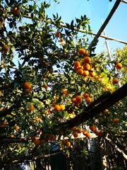  warm sunny day in sorrento