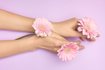 Closeup womans hands with a bright pink gerbera flowers on a purple backround. Women health concept. Concept of an advertisment of cosmetic product or skin care.