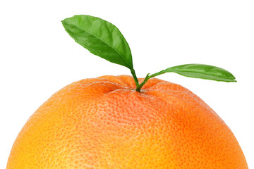 grapefruit with green leaf isolated on white background