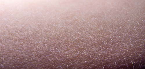 Fototapeta premium Human skin close-up. Skin relief, hair. Texture. Background.