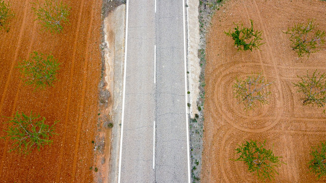 Vista de Dron, plantaciones de almendros