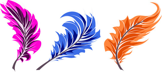pink, blue, orange feather in different angles isolated on white background