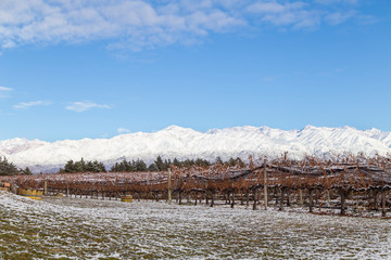 Parreiral