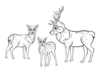 Cute cartoon deer family vector coloring page outline. Male deer and female doe with little fawn. Coloring book of forest animals for kids. Isolated on white background
