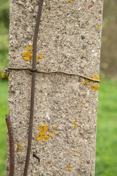 old power pole with rusty lightning rod