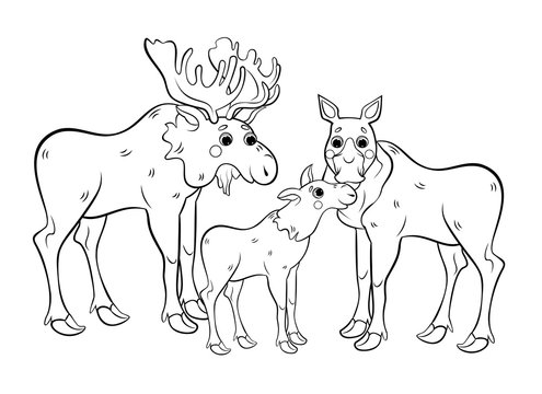 Cute cartoon moose family vector coloring page outline. Male and female mooses with little moose. Coloring book of forest animals for kids. Isolated on white background