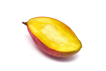 Mango (Mangifera L.)
