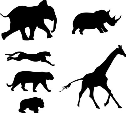 image of Australia running animals silhouettes. Giraffe, rhino, panda, elephant, tiger, wild cat