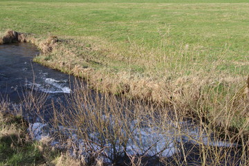 Bachlauf der Trubach in Oberfranken im Frühling