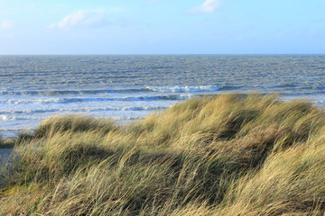 Dünen und Meer bei Bredene