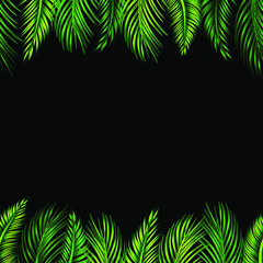 Fototapeta na wymiar Universal template. Frame, border made of palm tree branches, tropical leaves. Botanical leaves on a black background. For the design of business cards, banners, advertising, background for social net