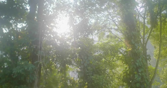 The Famous and Tourist Tayrona Park, the Ciudad Perdida (Lost City) in Magdalena / Colombia, full of Nature, Vegetation, History and Culture