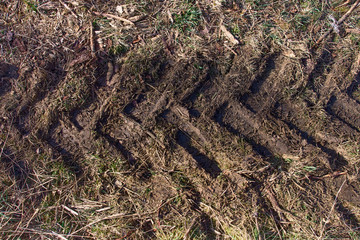 tire tread marks on the ground