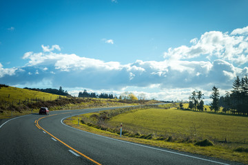 Beautiful road with trees on the sides and clouds in the background towards Mount Cook, New Zealand