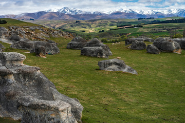 Fototapeta na wymiar Flock of sheep grazing in the beautiful green field of Elephant Rocks with the snow capped mountains in the background on a sunny day, New Zealand