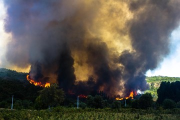 Queimadas e fogos em uma região de Viseu em Portugal