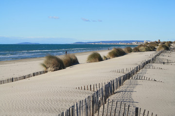 Sandy beach in Camargue region, in the South of France