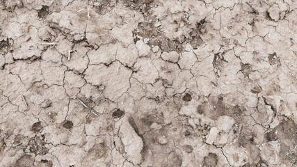 Wet, fertile land. Clay soil. Preparing the land for planting. Agricultural and natural theme....