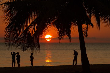 Sunset with silhouette tree in Kota Kinabalu Sabah Malaysia