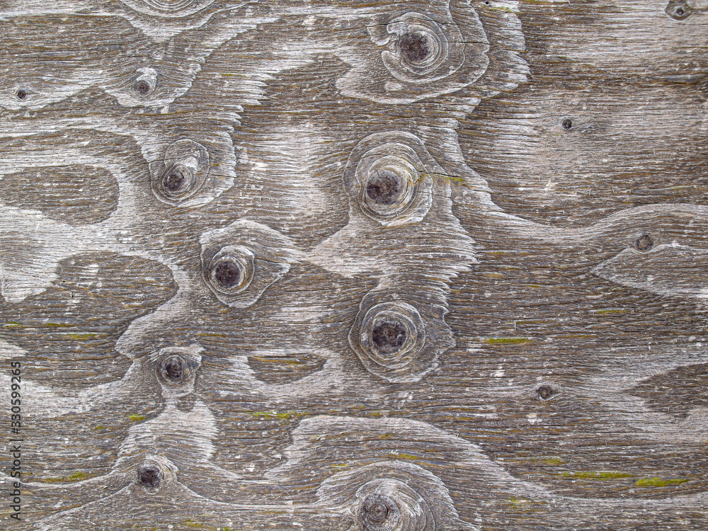 Poster vertically oriented wooden texture of distinctive colors