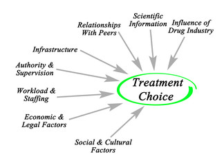 Eight Factors Affecting  Treatment Choice.