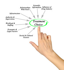 Eight Factors Affecting  Treatment Choice.