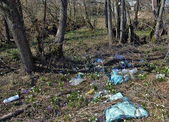 Obraz premium pollution with household waste in nature