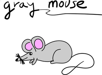 Drawing gray mouse on white background