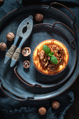 Brown and homemade walnut cheesecake on dark plate