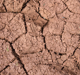 Close up of soil texture