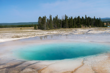 Landscape of blue geyser pool and trees at Yellowstone National Park in Wyoming