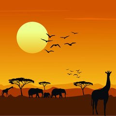 Fototapeta na wymiar Ilustración vectorial Sabana africana con siluetas de animales