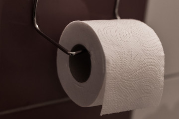 Roll of white toilet paper in the bathroom. Subject to scarcity.