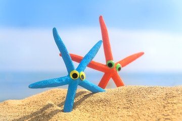 Funny starfishes at the beach