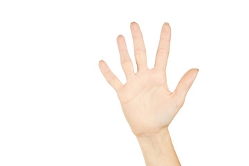 caucasian female person showing open hand palm. number five. isolated on a white background. gesturing concept.