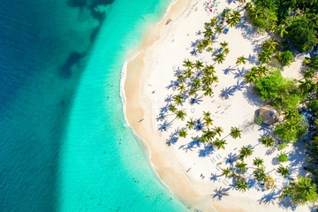 Aerial drone view of beautiful caribbean tropical island Cayo Levantado beach with palms. Bacardi...