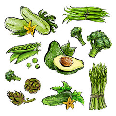 Set of illustrations of green vegetables.