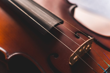 Naklejka premium Violin
