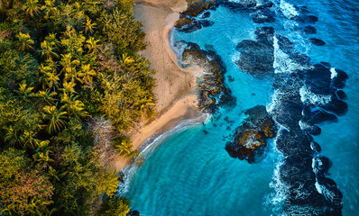 Aerial drone photo of a blue tropical lagoon surrounded by white sand of an exotic beach and palm trees.