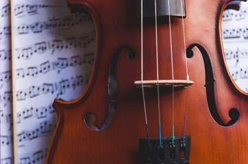 Naklejka premium Violin
