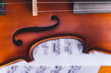 Naklejka premium Violin