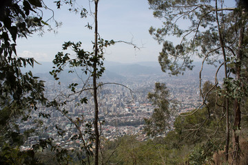 View of the city of Caracas from the forest in the El Avila mountain