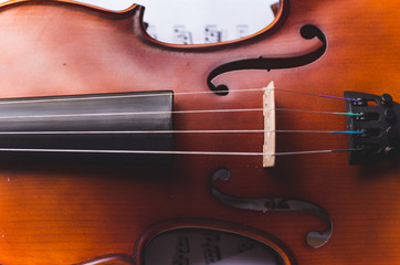 Naklejka premium Violin