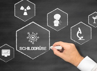 Schilddr�se