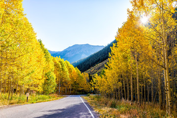 Sunburst through forest in Aspen, Colorado maroon bells mountains in October 2019 and vibrant trees...